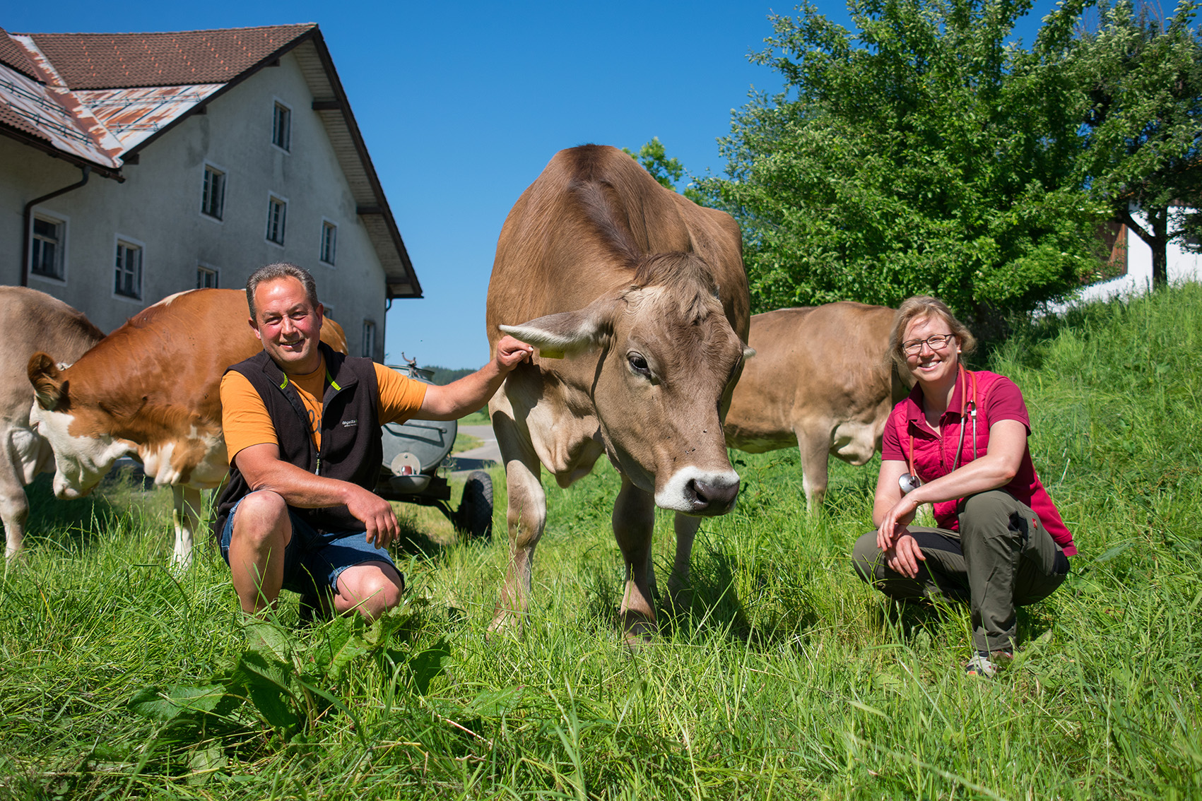 Landwirtschaftliche Betriebsberatung